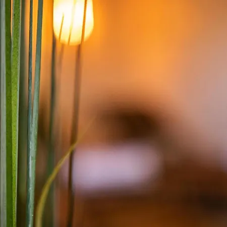 Ξενοδοχείο Burg Gutenfels Kaub